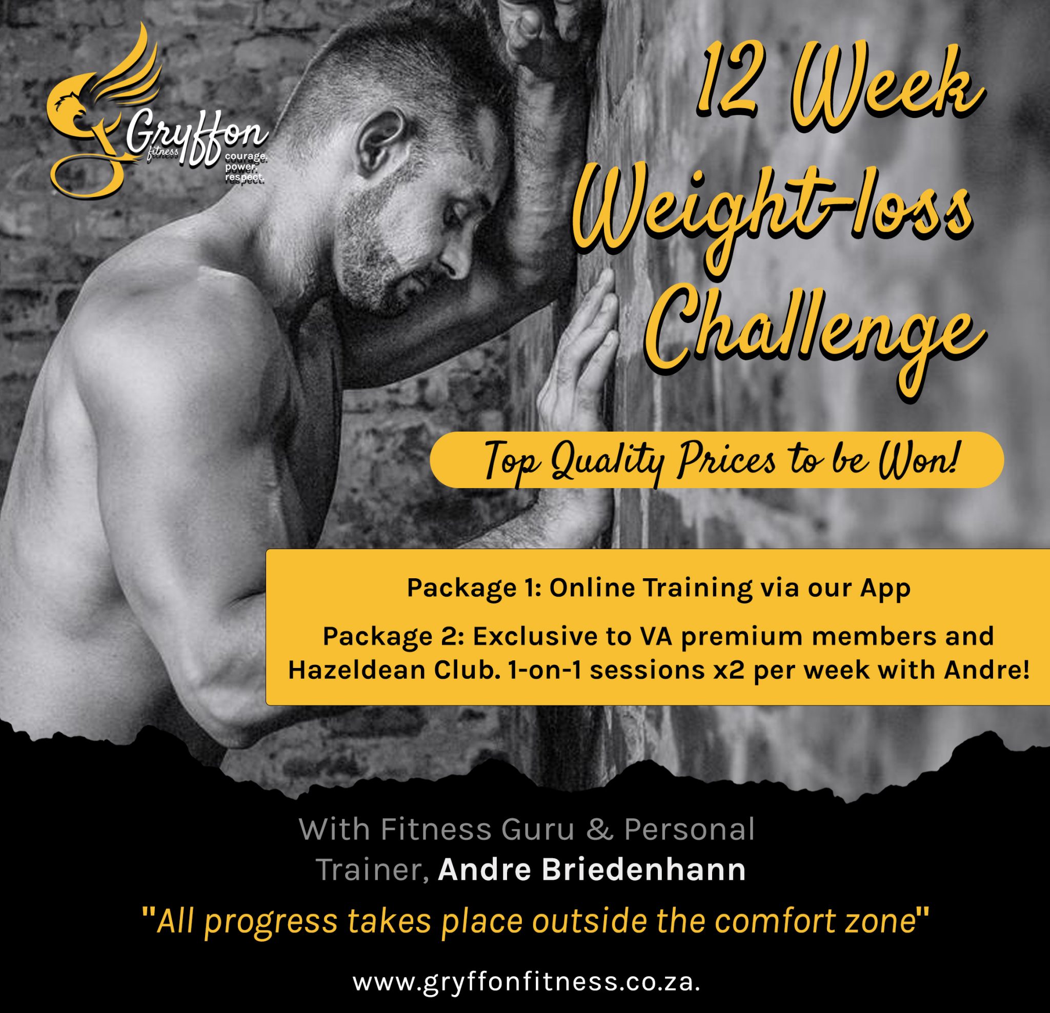 Griffon Fitness Flyer 1 Insta
