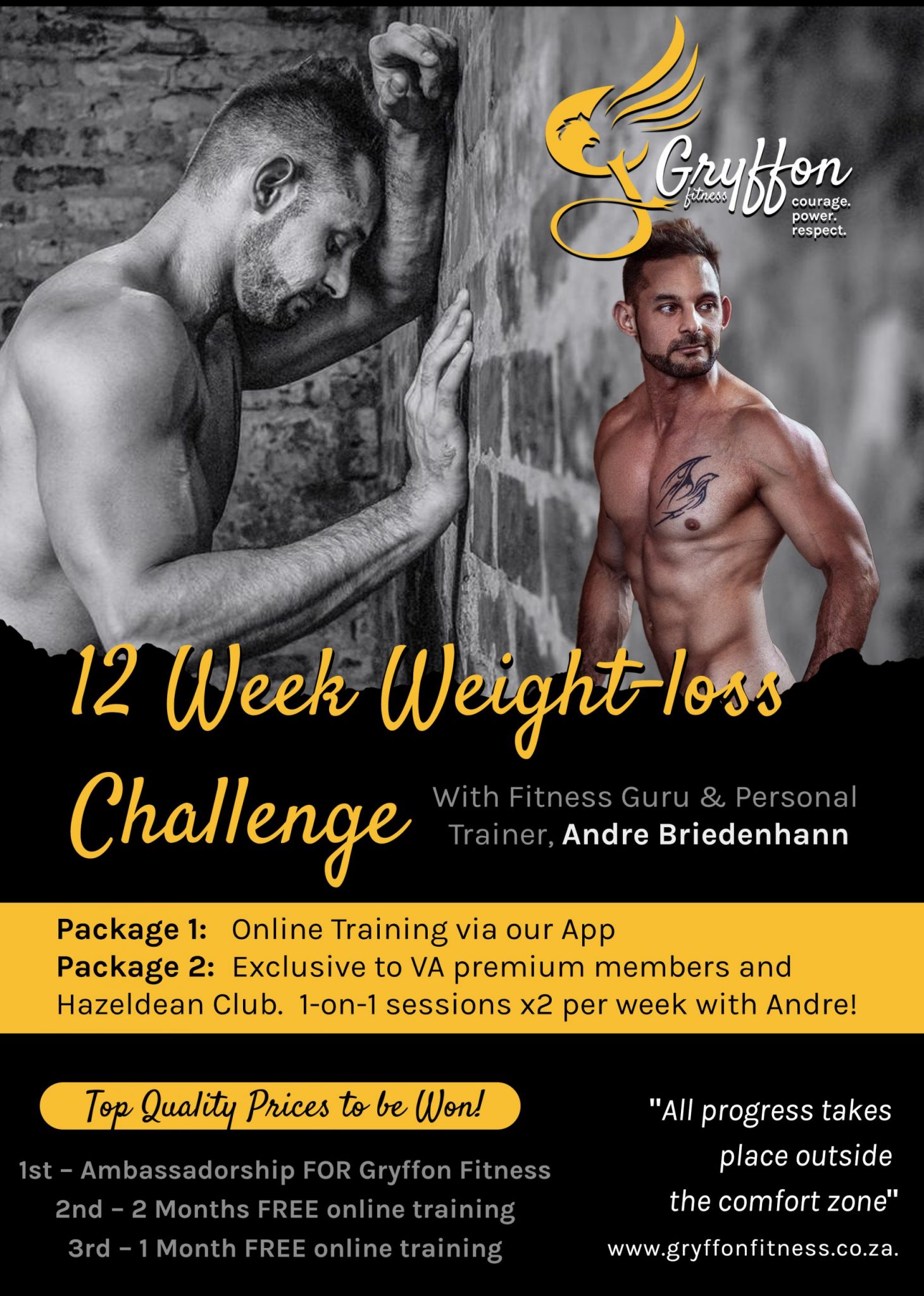 Griffon Fitness Flyer 1
